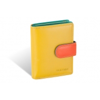 Kolorowy niewielki portfel damski Valentini, żółty, zielony + inne