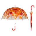 Przezroczysta parasolka w jesienne czerwone liście