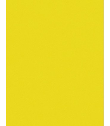  Blok techniczny BAMBINO A4 z kolorowymi kartkami + złota i srebrna