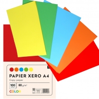 PAPIER XERO A4 KOLOROWY 100 KARTEK 5 INTENSYWNYCH KOLORÓW INTERDRUK