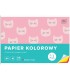 PAPIER KOLOROWY, A4, 10 KARTEK, 115G, INTERDRUK