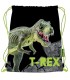 Worek na obuwie Bambino T-REX