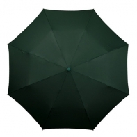 Automatyczna zielona parasolka składana, otwierana jednym przyciskiem