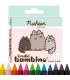  KREDKI Z GLINKI KAOLINOWEJ, 12 KOLORÓW PUSHEEN KOT KOTEK