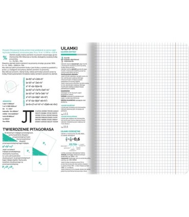 Zeszyt DO MATEMATYKI, A5 60k, TOP-2000, kratka z marginesem, przydatne ściągi