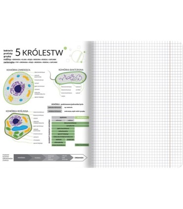 Zeszyt DO BIOLOGII, A5 60k, TOP-2000, kratka z marginesem, przydatne ściągi