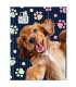 Teczka tekturowa z gumką A4 DERFORM Cleo&Frank piesek golden RETRIVER