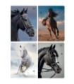 4 X ZESZYT A5, 32 KARTKI, KRATKA Z MARGINESEM, KONIE, HORSES, INTERDRUK