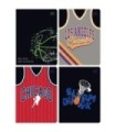 4X ZESZYT A5, 32 KARTKI, KRATKA, KOSZYKÓWKA, BASKETBALL, INTERDRUK