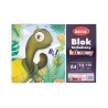 Blok techniczny kolorowy REXUS Benjamin A4 10 kartek, 150g/m2