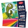 Blok techniczny kolorowy REXUS Benjamin A3 10 kartek, 150g/m2