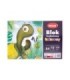 Blok techniczny kolorowy REXUS Benjamin A4 10 kartek, 150g/m2