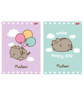 2X ZESZYT A4, 32 KARTKI, KRATKA, PUSHEEN KOTEK KOT, KAŻDY INNY