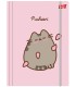 Teczka tekturowa z gumką A4 Pusheen Pink, Unipap St-Majewski