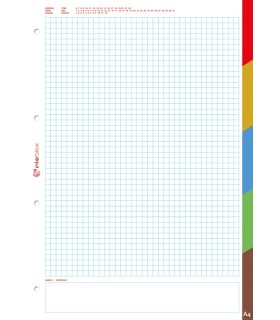 Wkład do segregatora A4, kratka, 50 kartek z kolorowymi registrami – Interdruk