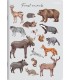 5x ZESZYT TOP 2000 A5 32 KARTKI POLIPROPYLEN ANIMALS KRATKA KAŻDY INNY