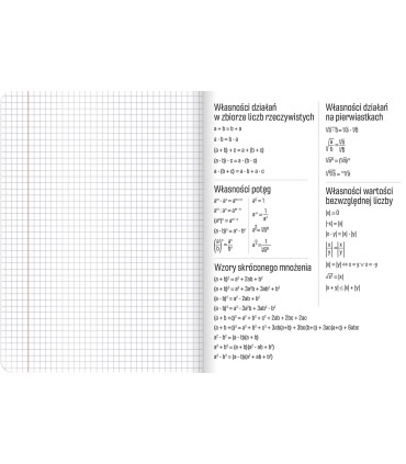 ZESZYT A5 DO MATEMATYKI, 60 KARTEK, KRATKA, HERLITZ