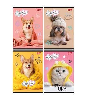 4 X ZESZYT A5 32 KARTKI KRATKA MY LITTLE FRIEND PIESKI KOTEK UNIPAP